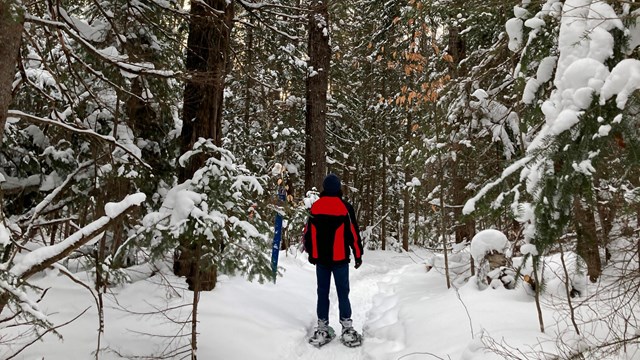 Snowshoeing on the Munising Snowshoe Trail.