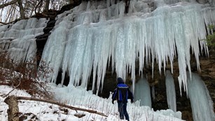 Person viewing curtains of ice in early winter that form along the sandstone escarpment.