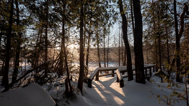 a snowy boardwalk with the sunrise streaming through trees. 