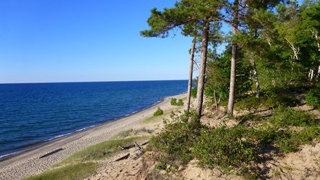 View from the forested bluff at Twelvemile Beach shows a long stretch of beach below.