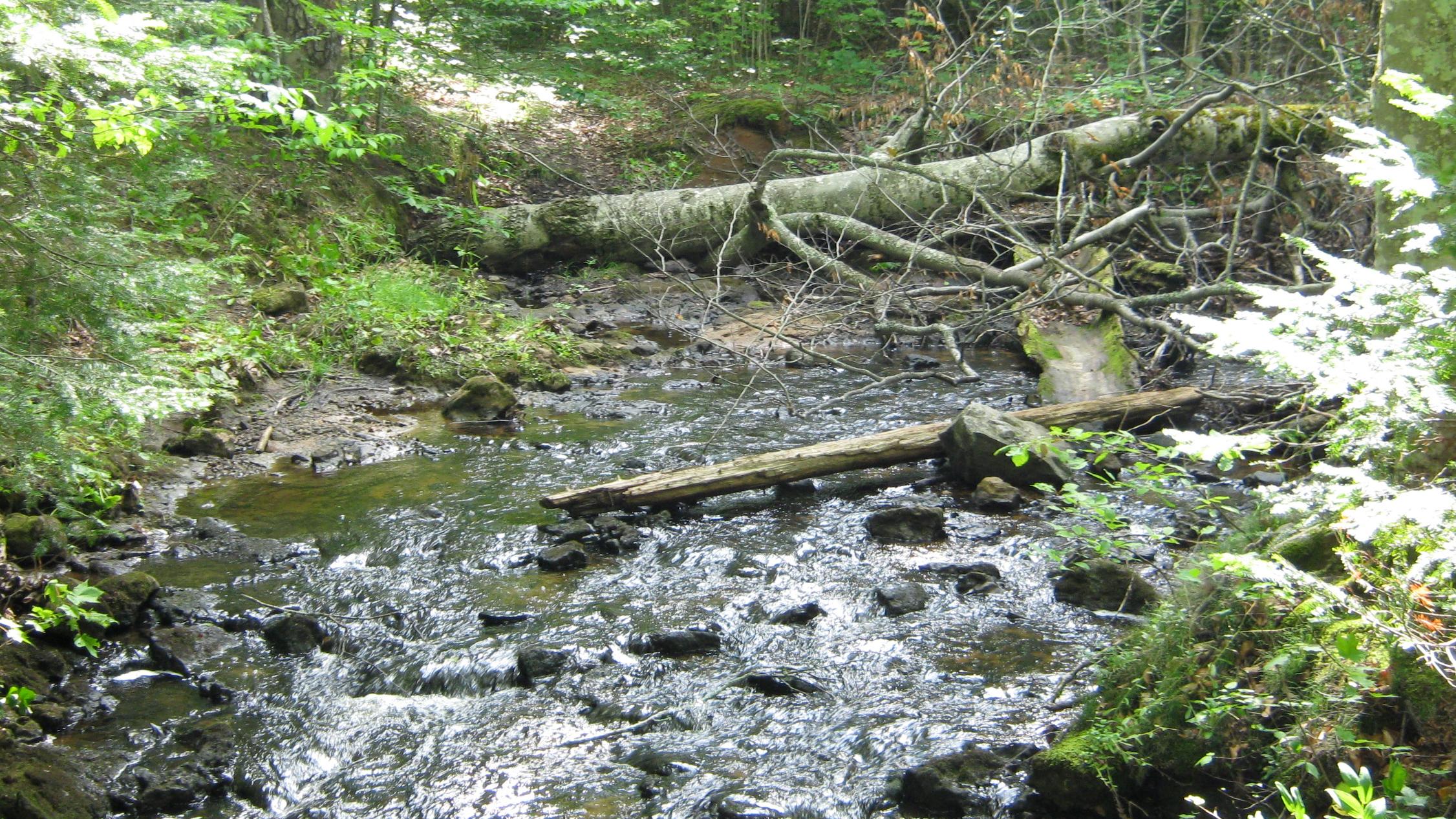 River flowing within Pictured Rocks National Lakeshore