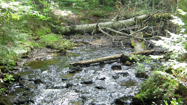 River flowing within Pictured Rocks National Lakeshore