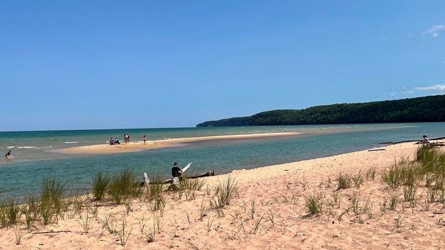 People swim in the distance on a sandbar. A beach and dune grass is in the foreground. 