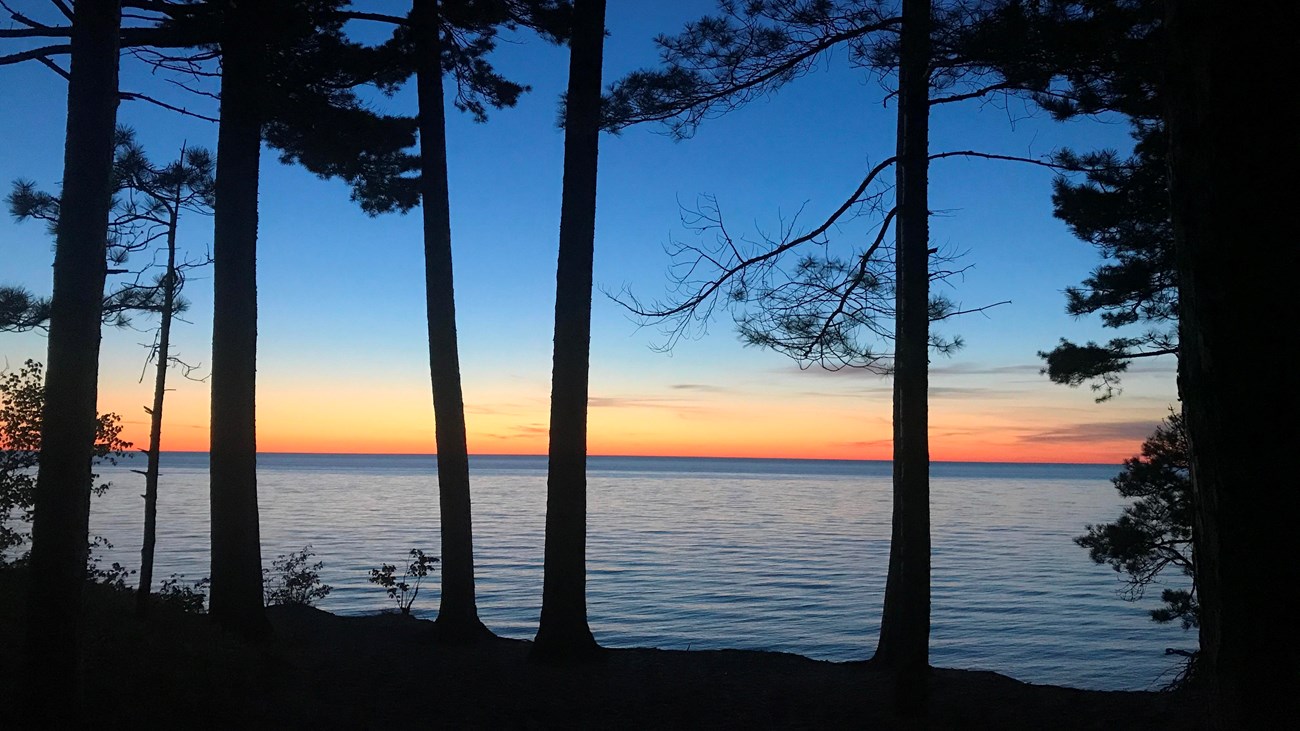 A sunset scene with dark trees in the foreground. 
