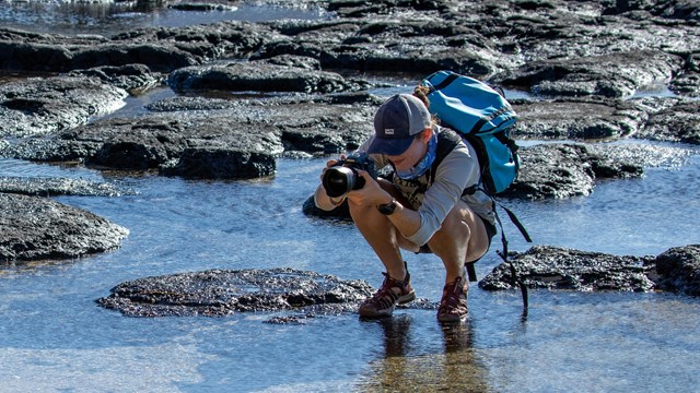 A person wearing shorts, a hat, and a backpack crouches in shallow water taking a photo.