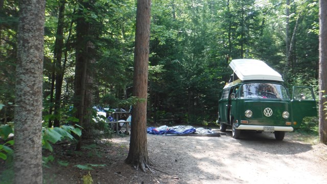 A green van with a hatch roof is parked in a campsite surrounded by tall trees.