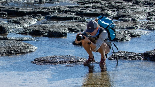 A person wearing a backpack and hat crouches in water with a camera.