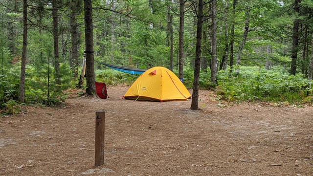A yellow tent in a clearing surrounded by trees.