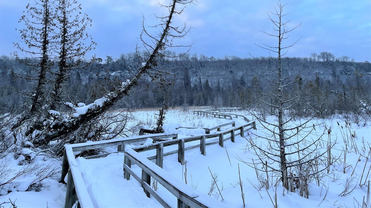 Snow on Sand Point Marsh Trail boardwalk, bare trees, late afternoon light