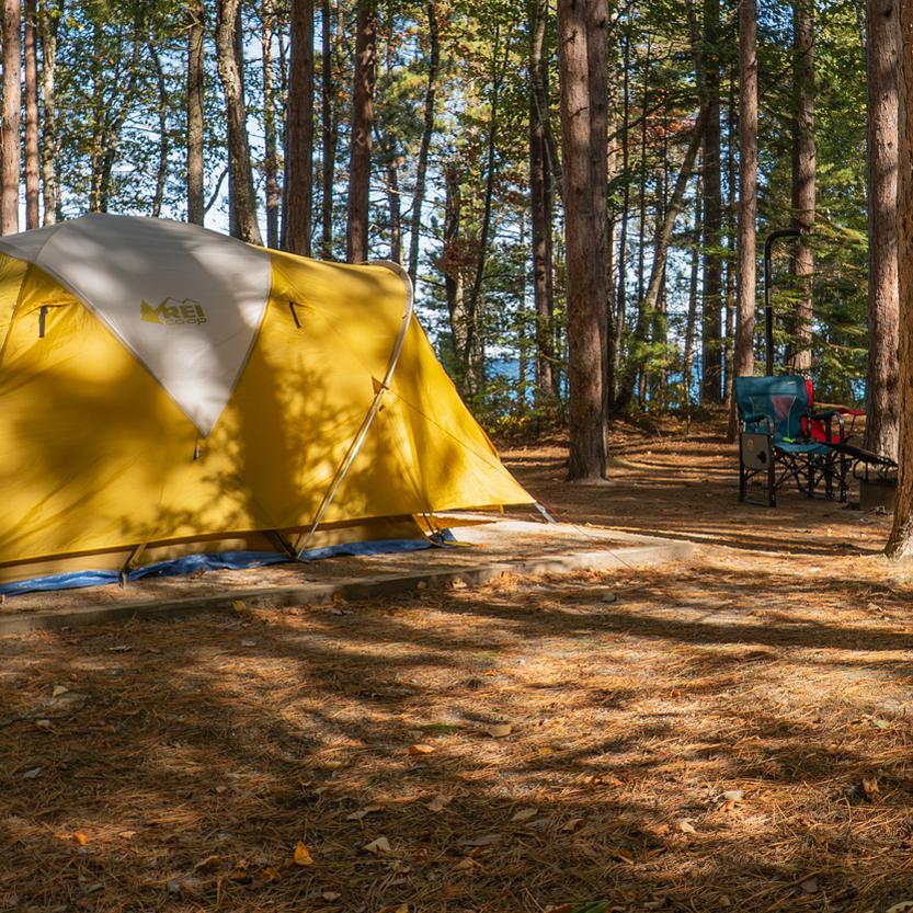 A yellow tent and blue and red chairs set up in a campsite beneath pine trees.