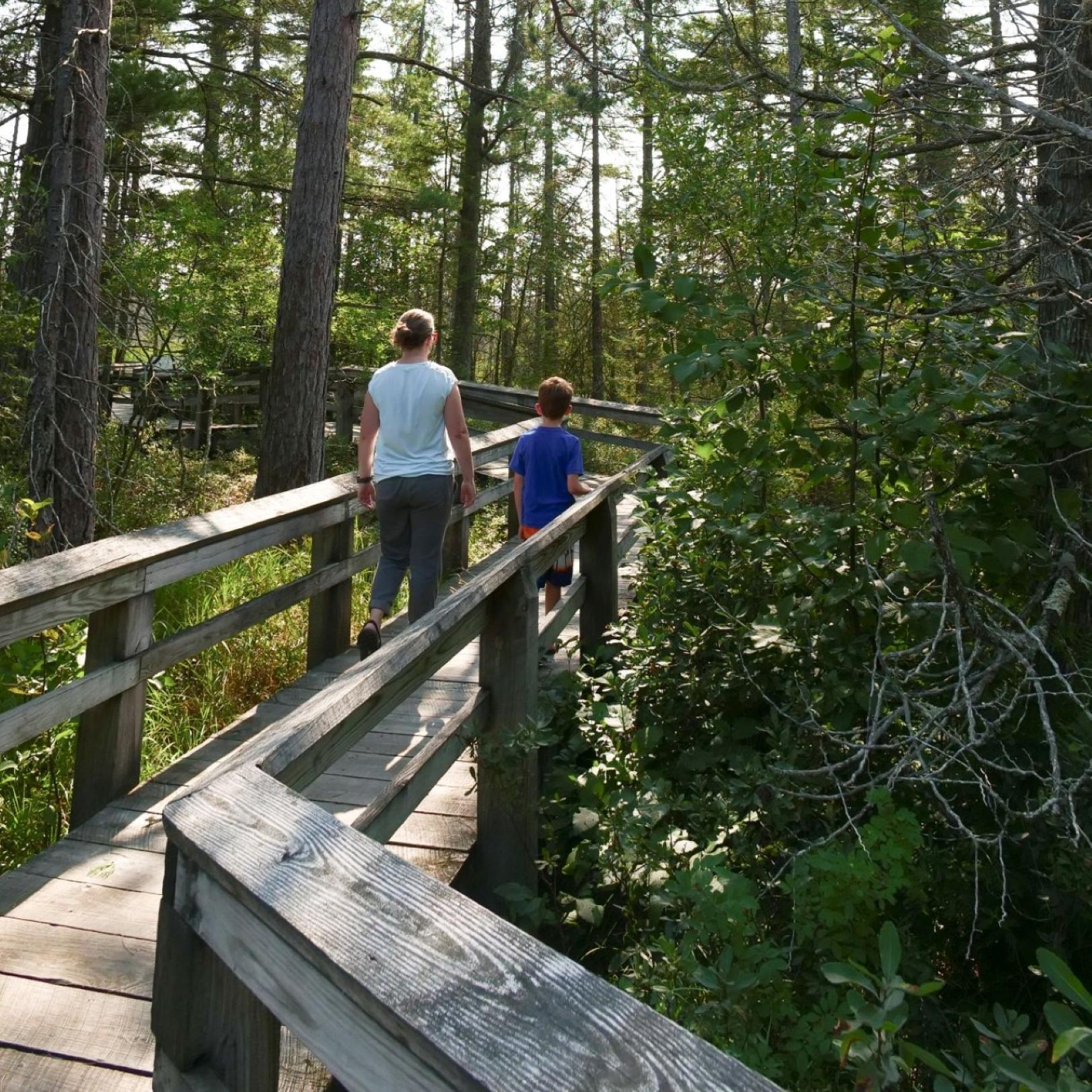 A mother and son walk away from the camera down a boardwalk path through evergreen trees.
