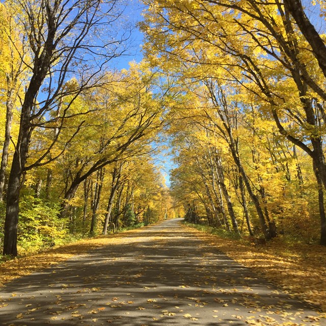 Dirt road in the beginning of fall