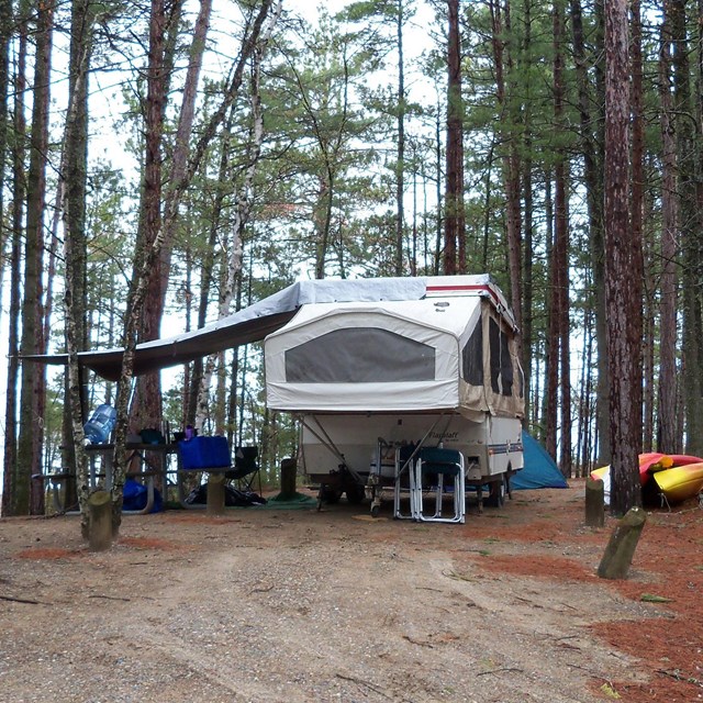 Camping site at TwelveMile Beach