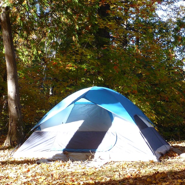 Tent in the woods