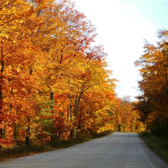 Fall color along H-58