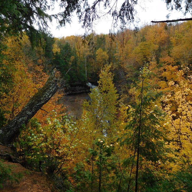 Fall color in the Chapel area.