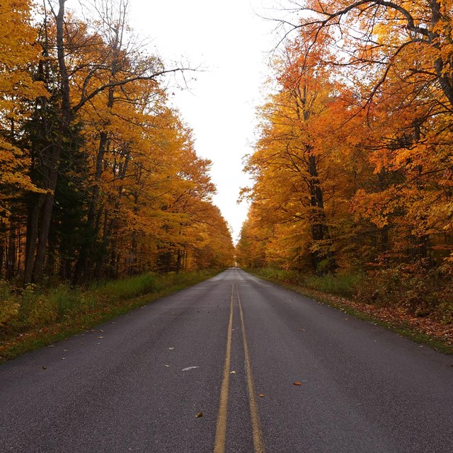 A road on an autumn day