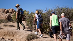 Ranger leading visitors on walk in desert
