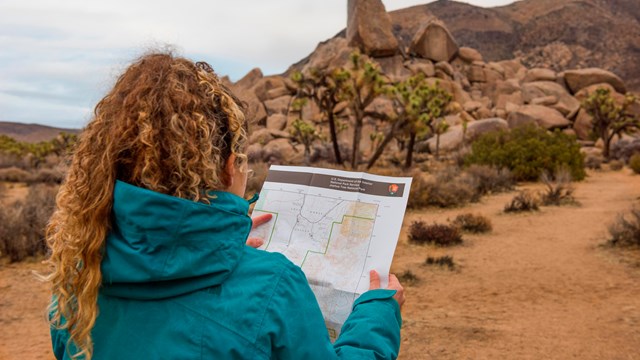 Visitor holding a map while standing in a desert