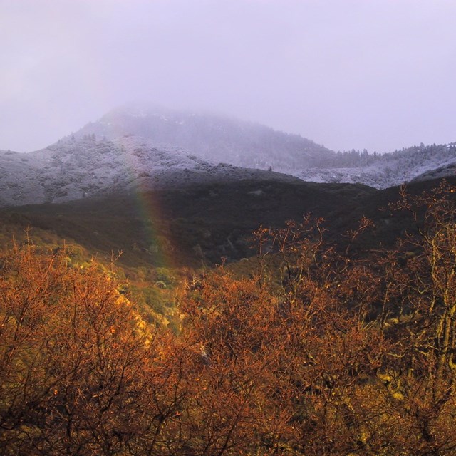 Rainbow over Ash Mountain