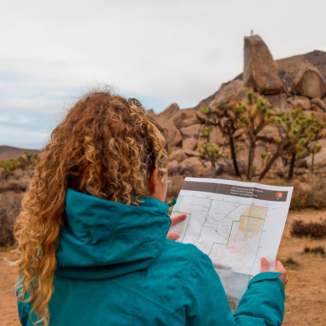 Visitor holding a map while standing in a desert