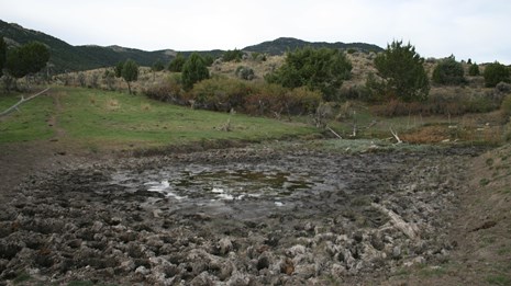 A muddy spring, with lots of trampled mud.