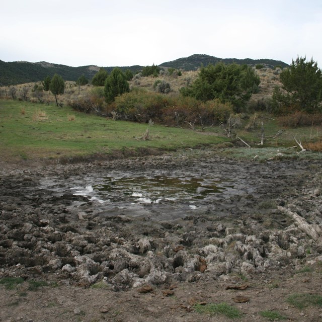 A muddy spring, with lots of trampled mud.