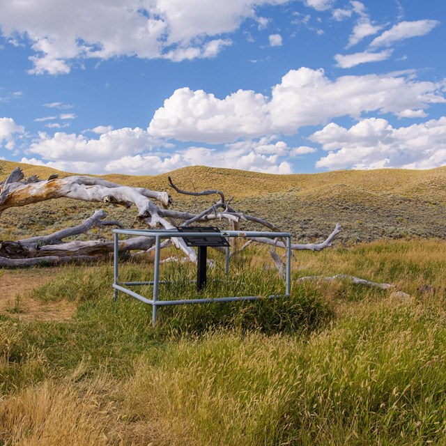 A small wooden sign next to a spring, surrounded by grass.