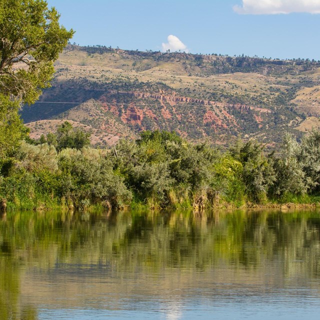 A still reflection pond surrounded by trees and shrubs, next to tall red cliffs.