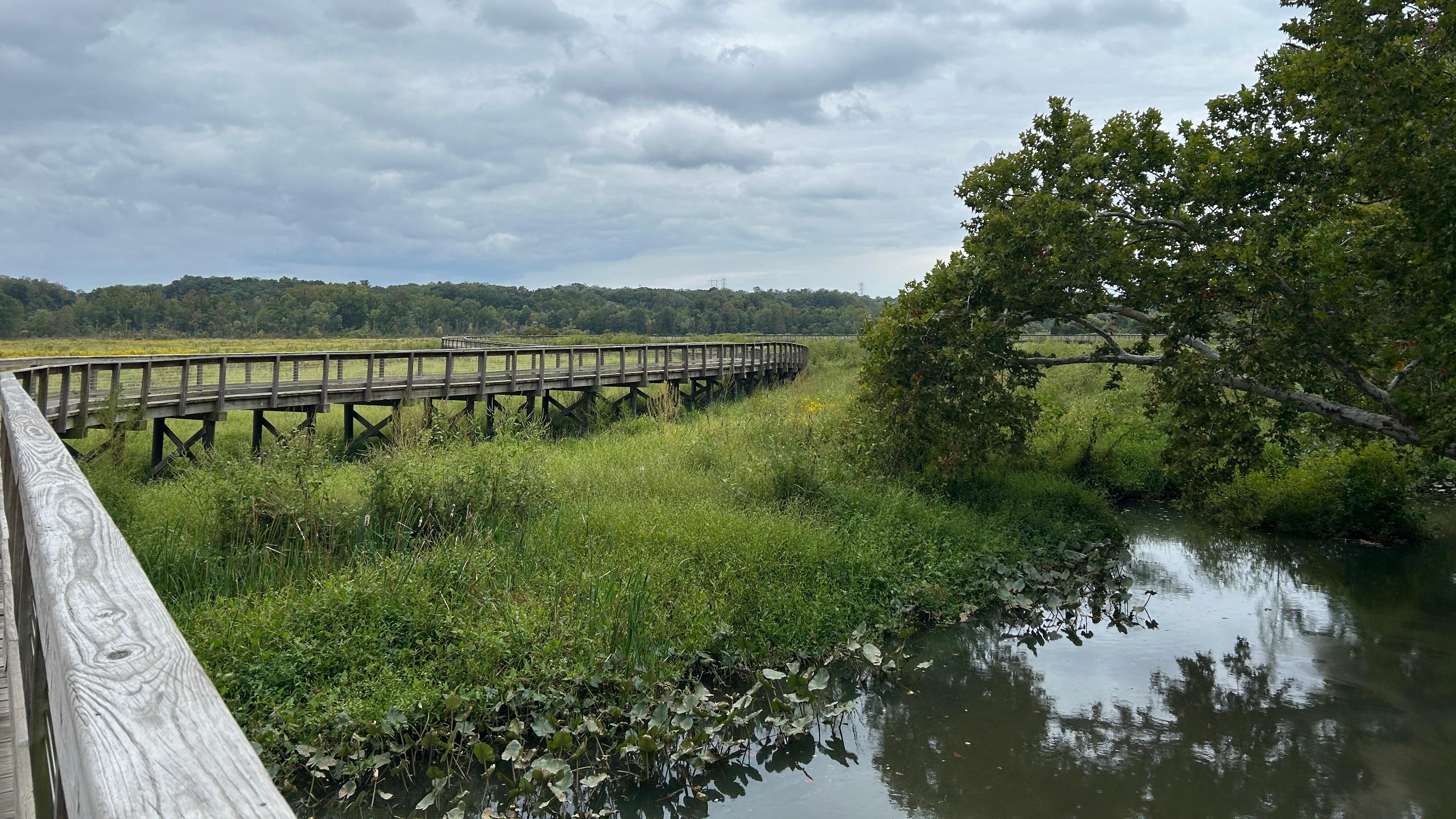 a boardwalk trail over a marsh 