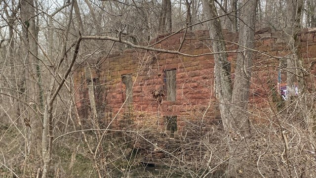 Picture of a historic stone mill overtaken by forest 