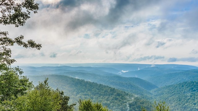 view of a deep forested valley