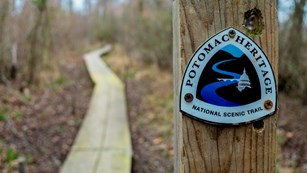 A trail marker on a wooden post adjacent to a wooden boardwalk through a bog.
