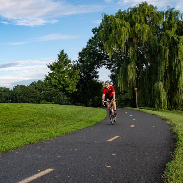 Bikers on a multiuse path with lush trees.