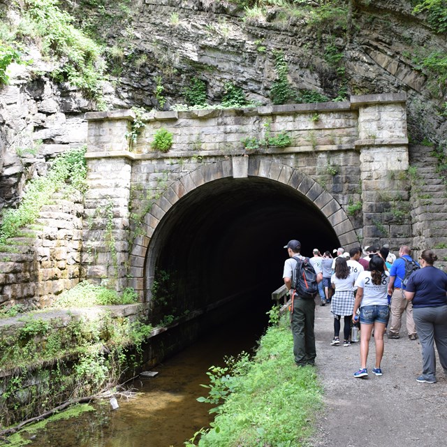 Hikers walk along a path and into a tunnel.
