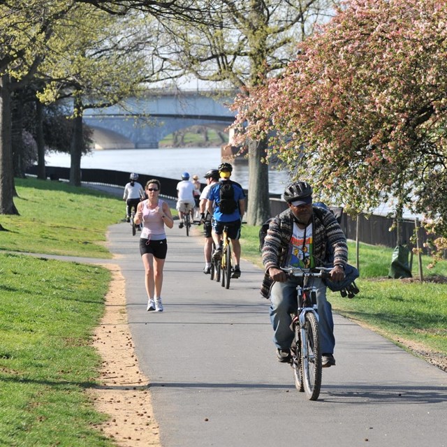 Hiker and Bikers on a multiuse path with blossoming trees.