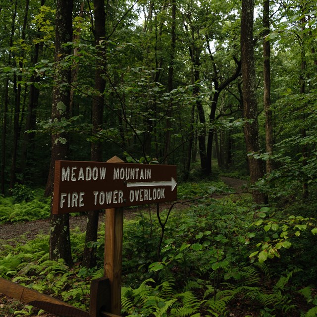 A sign pointing to the start of the Meadow Mountain Trail.