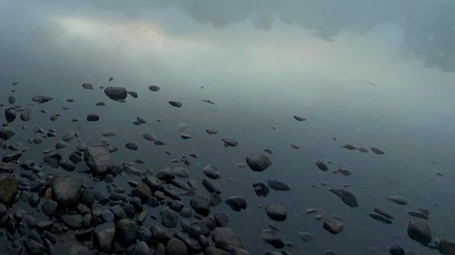 Foggy river scene with scattered stones in the foreground