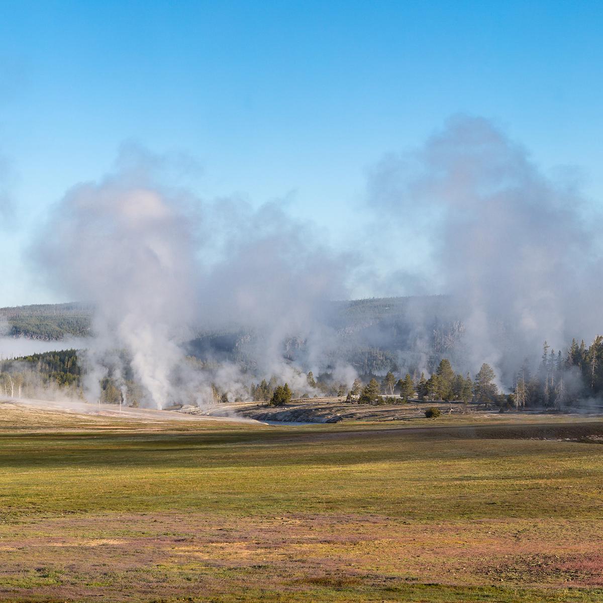 Early morning steam in Upper Geyser Basin, Yellowstone National Park