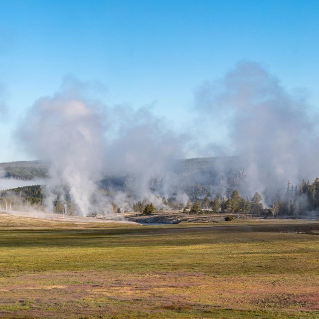 Early morning steam in Upper Geyser Basin, Yellowstone National Park