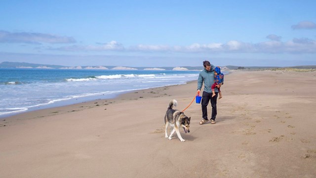 A man carrying a young child walks a dog on a sandy beach.