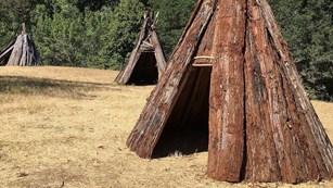 Three ten-foot-tall cone-shaped structures made of redwood-bark sit in a grassy area adjacent trees.