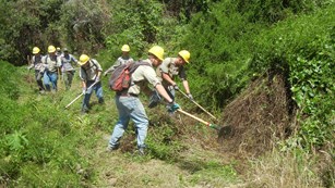Youth Conservation Corps members performing trail maintenance.