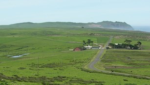 Spaletta (C) Ranch with the Point Reyes Headlands in the background.