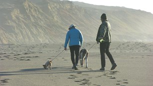 Two people walking two dogs on a beach with low bluffs in the background on a sunny but hazy day.
