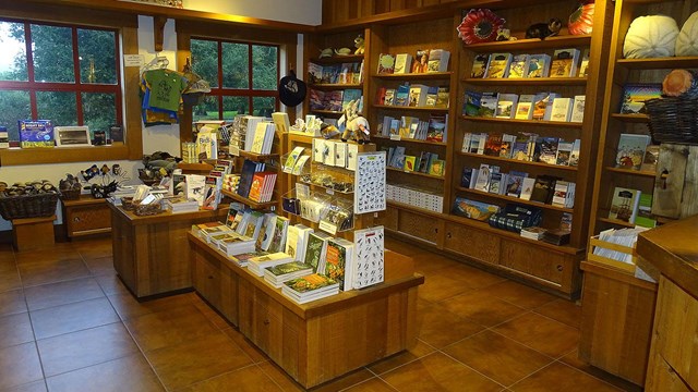 Books and other merchandise displayed on wooden shelving.