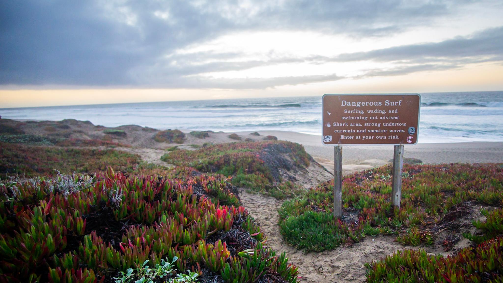 A brown sign describing dangerous surf in front of a sandy, vegetated beach at sunset.