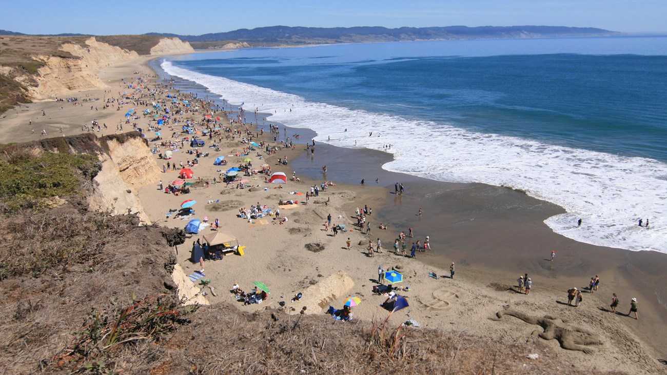 An aerial shot of a long ocean beach backed by sea cliffs, with beachgoers and sand sculptures.
