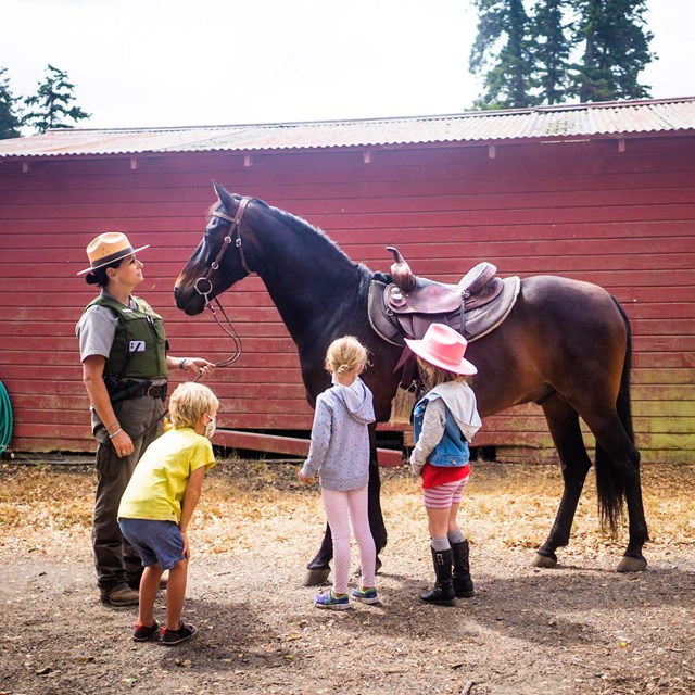 A park ranger holds a brown horse in front of a red barn, while three kids look on.