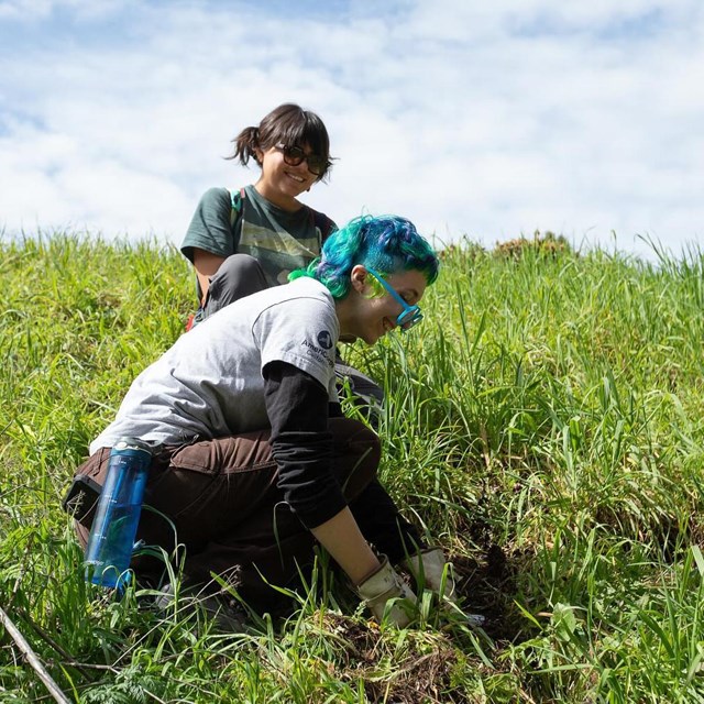 Two people wearing work gloves pull grasses and chat to one another.